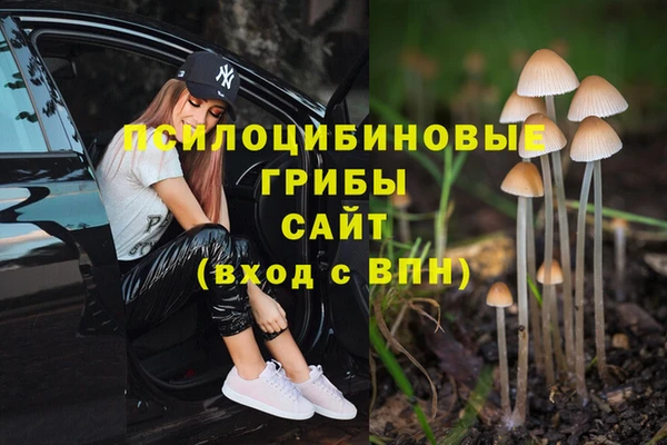 гидропоника Балабаново